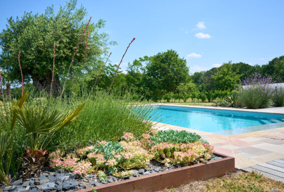 Comment aménager un jardin près d'une piscine ?